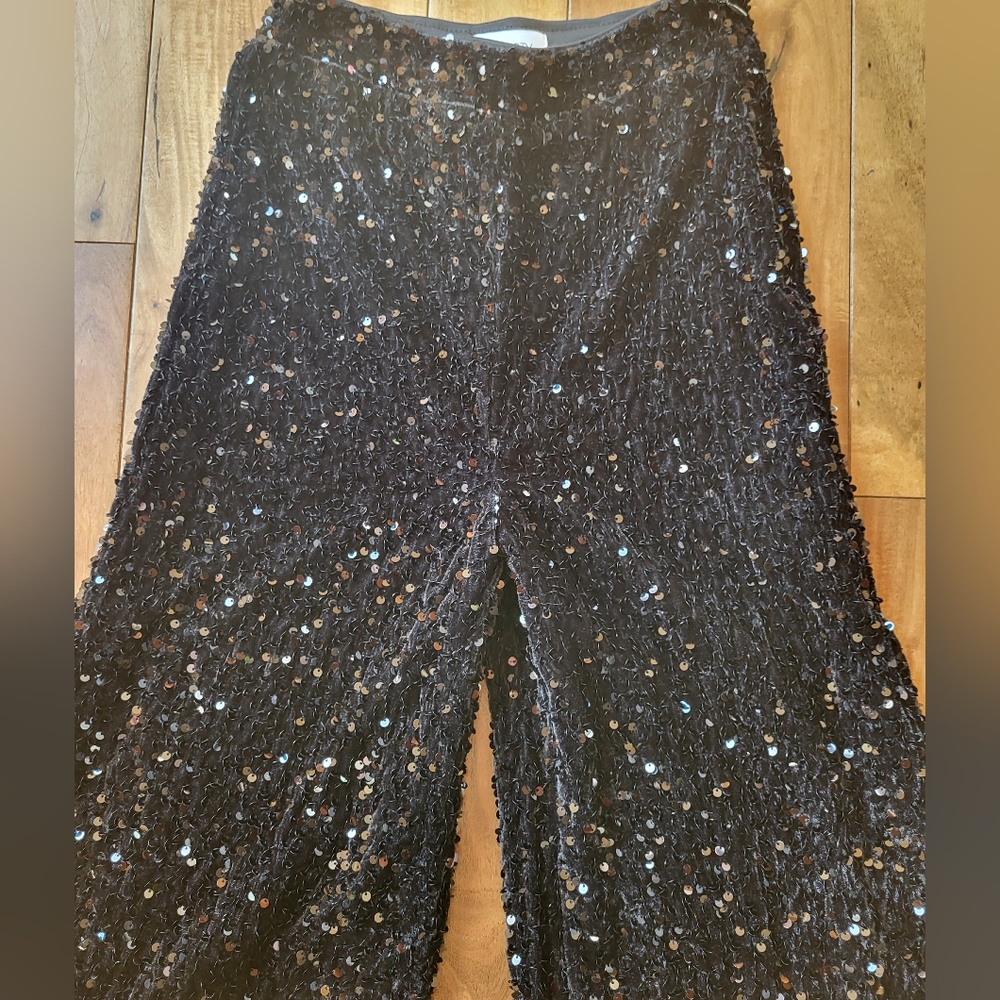 Faeriesty Black Sequin Wide-Leg Pants - Picture 4 of 5